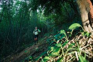 BIB: 
                            <button type="button" onclick="openModal(28124284)" class="btn btn-primary btn-sm float-right btn-popup" data-toggle="modal" data-target=".modal-high-quality">
                        <i class="fas fa-shopping-cart"></i> Add to Cart
                    </button>
                                            <button type="button" onclick="isThisMe(28124284, true)" class="btn btn-success btn-sm float-right btn-popup btn-isme hidden" data-toggle="tooltip" data-placement="bottom" title="นี่คือรูปของคุณใช่ไหม คลิกที่นี่เพื่อเอาเข้าอัลบั้ม">
                        <i class="fas fa-plus"></i> Add to album
                    </button>
                    <button type="button" onclick="isThisMe(28124284, false)" class="btn btn-warning btn-sm float-right btn-popup btn-isnotme hidden">
                        <i class="fas fa-ban"></i> Remove from album
                    </button>